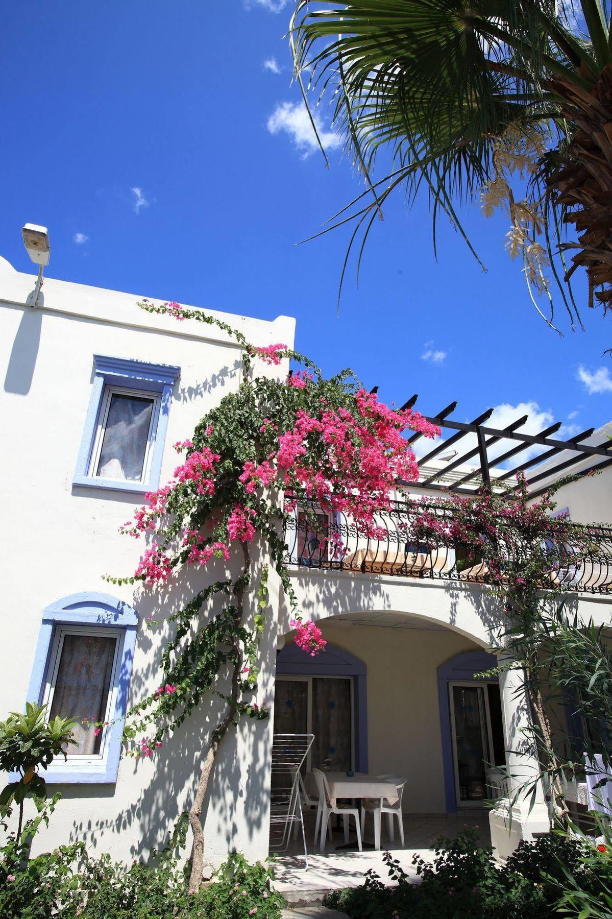 Club Paloma Apartment グムベット エクステリア 写真